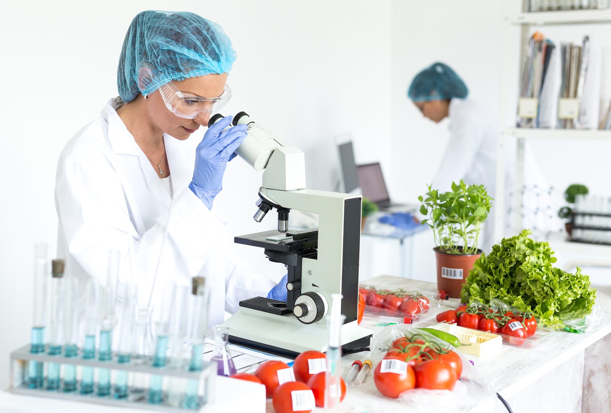 Implementación y Auditoría de Sistemas de Gestión de Calidad según la Norma BRC Food Versión 9.